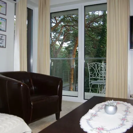 Dzikie Wino * Jurata